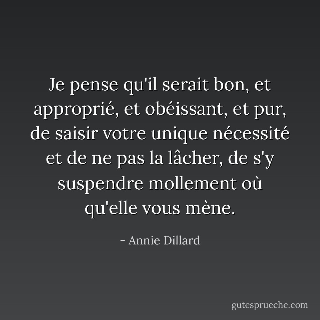 Je pense qu'il serait bon, et approprié, et obéissant, et pur, de saisir votre unique nécessité et de ne pas la lâcher, de s'y suspendre mollement où qu'elle vous mène. - Annie Dillard