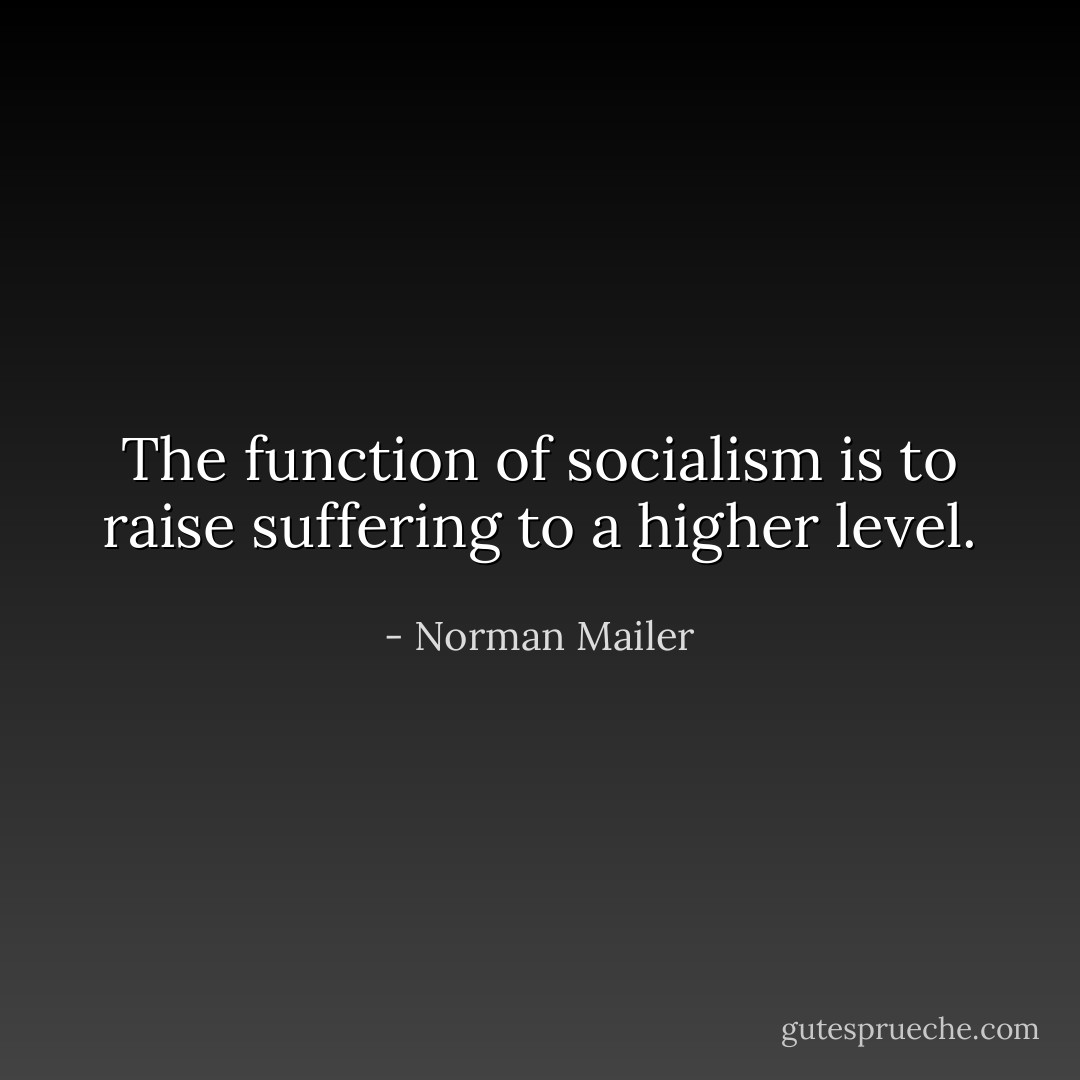 The function of socialism is to raise suffering to a higher level. - Norman Mailer