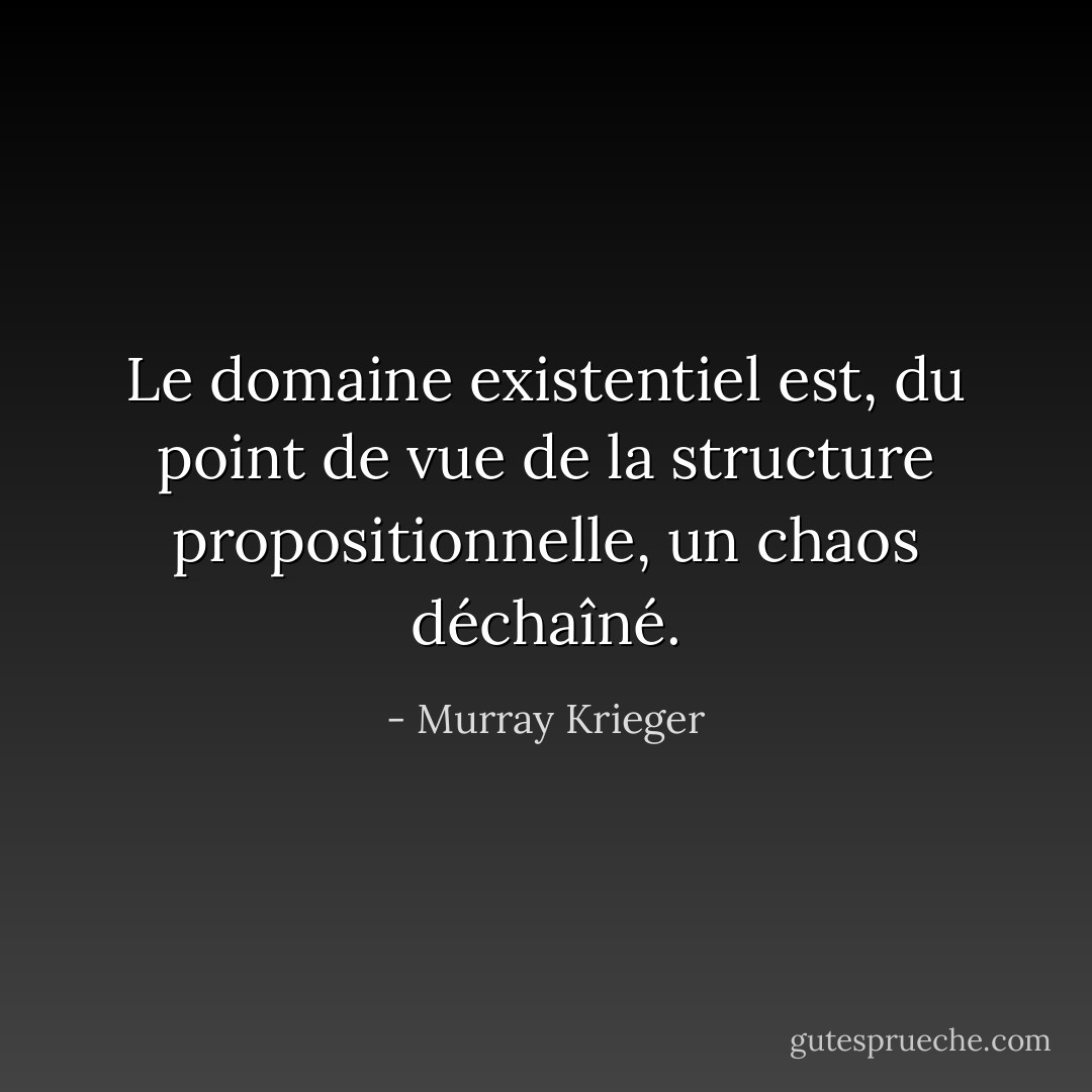 Le domaine existentiel est, du point de vue de la structure propositionnelle, un chaos déchaîné. - Murray Krieger