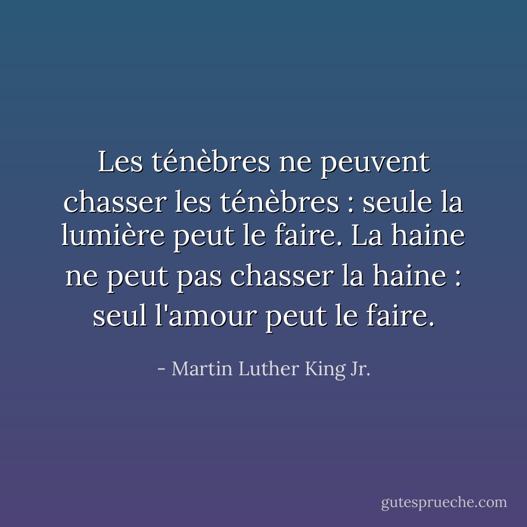 Les ténèbres ne peuvent chasser les ténèbres : seule la lumière peut le faire. La haine ne peut pas chasser la haine : seul l'amour peut le faire. - Martin Luther King Jr.