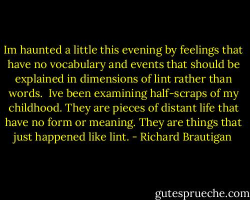 Im haunted a little this evening by feelings that have no vocabulary and events that should be explained in dimensions of lint rather than words.<br /><br />Ive been examining half-scraps of my childhood. They are pieces of distant life that have no form or meaning. They are things that just happened like lint. - Richard Brautigan
