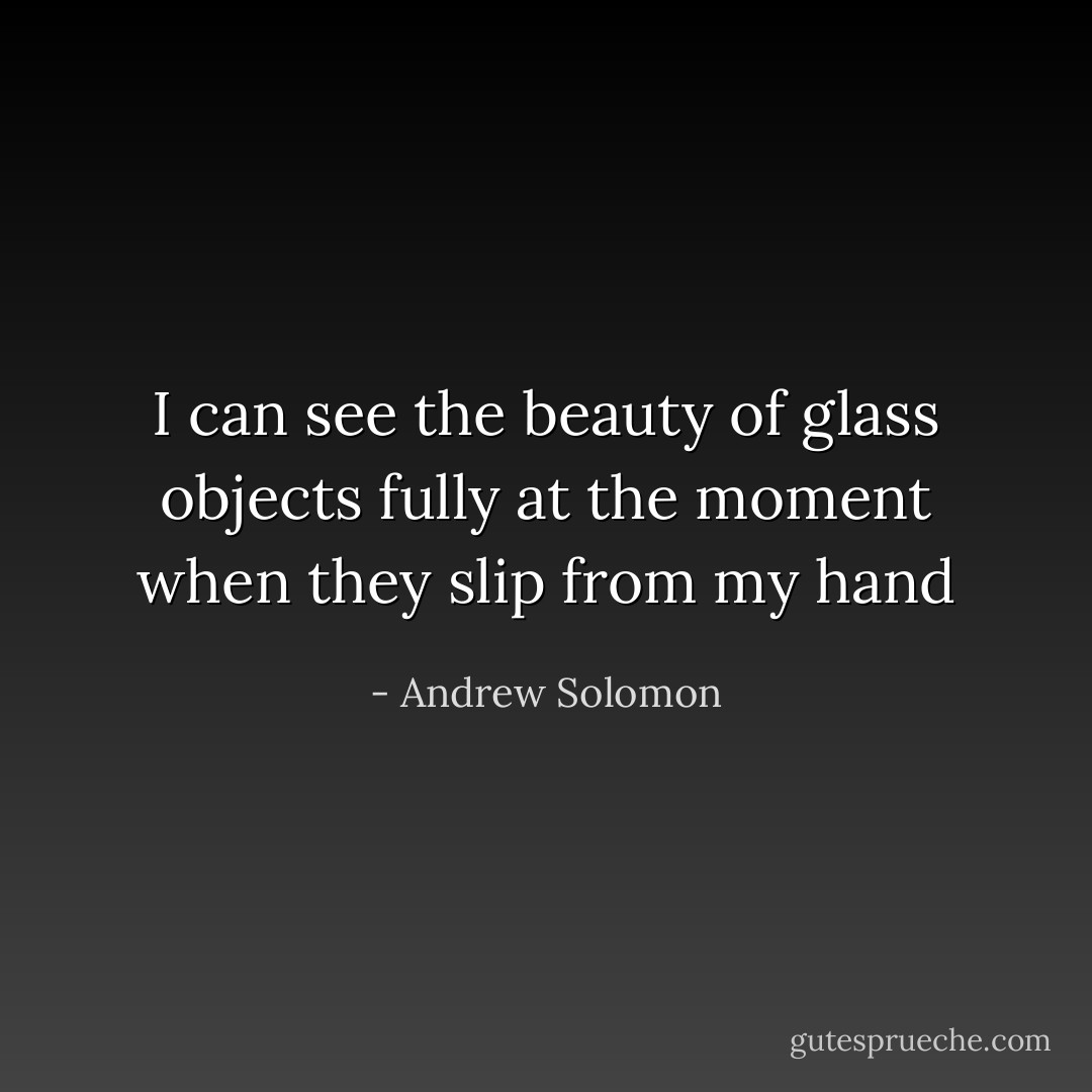 I can see the beauty of glass objects fully at the moment when they slip from my hand - Andrew Solomon