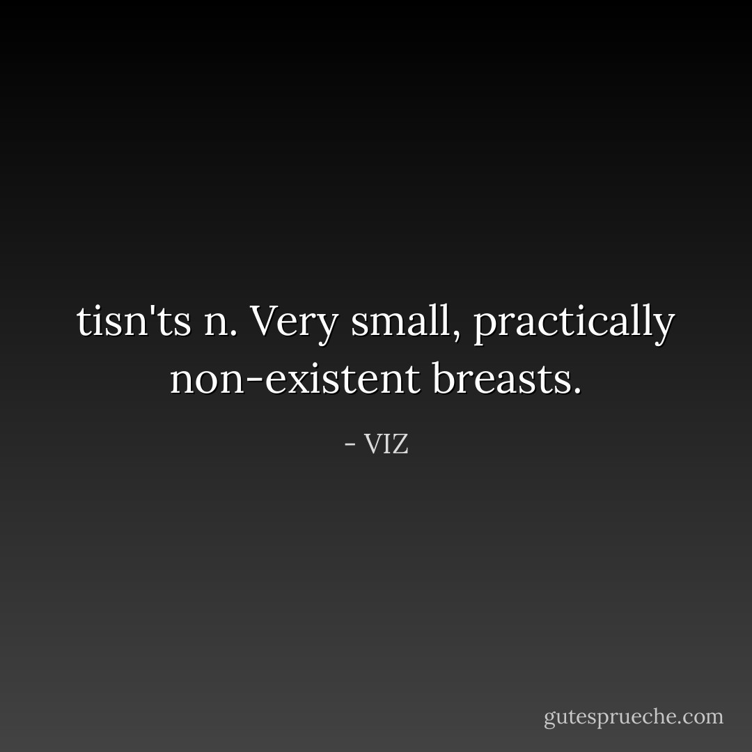 <b>tisn'ts</b> <i>n.</i> Very small, practically non-existent breasts. - VIZ
