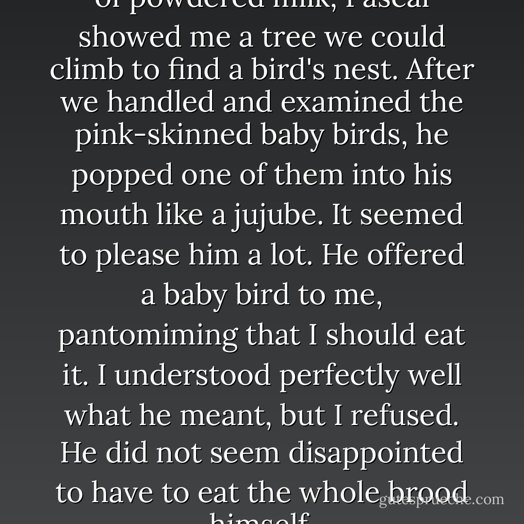 In exchange for his first taste of powdered milk, Pascal showed me a tree we could climb to find a bird's nest. After we handled and examined the pink-skinned baby birds, he popped one of them into his mouth like a jujube. It seemed to please him a lot. He offered a baby bird to me, pantomiming that I should eat it. I understood perfectly well what he meant, but I refused. He did not seem disappointed to have to eat the whole brood himself. - Barbara Kingsolver