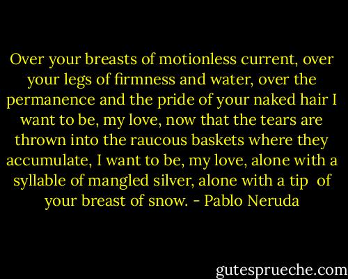 Over your breasts of motionless current,<br />over your legs of firmness and water,<br />over the permanence and the pride<br />of your naked hair<br />I want to be, my love, now that the tears are<br />thrown<br />into the raucous baskets where they accumulate,<br />I want to be, my love, alone with a syllable<br />of mangled silver, alone with a tip <br />of your breast of snow. - Pablo Neruda