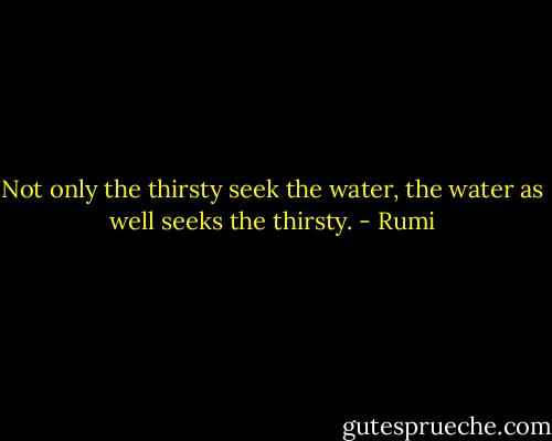 Not only the thirsty seek the water, the water as well seeks the thirsty. - Rumi