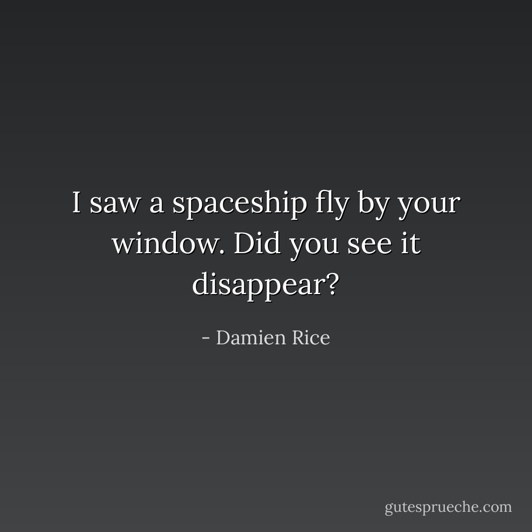 <i>I saw a spaceship fly by your window. Did you see it disappear?</i> - Damien Rice