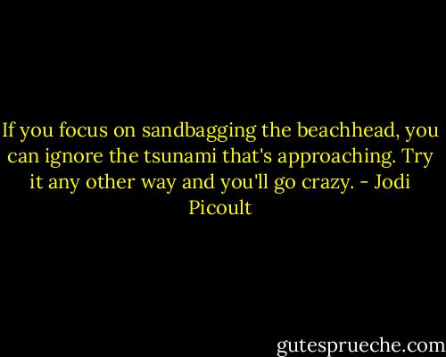 If you focus on sandbagging the beachhead, you can ignore the tsunami that's approaching. Try it any other way and you'll go crazy. - Jodi Picoult