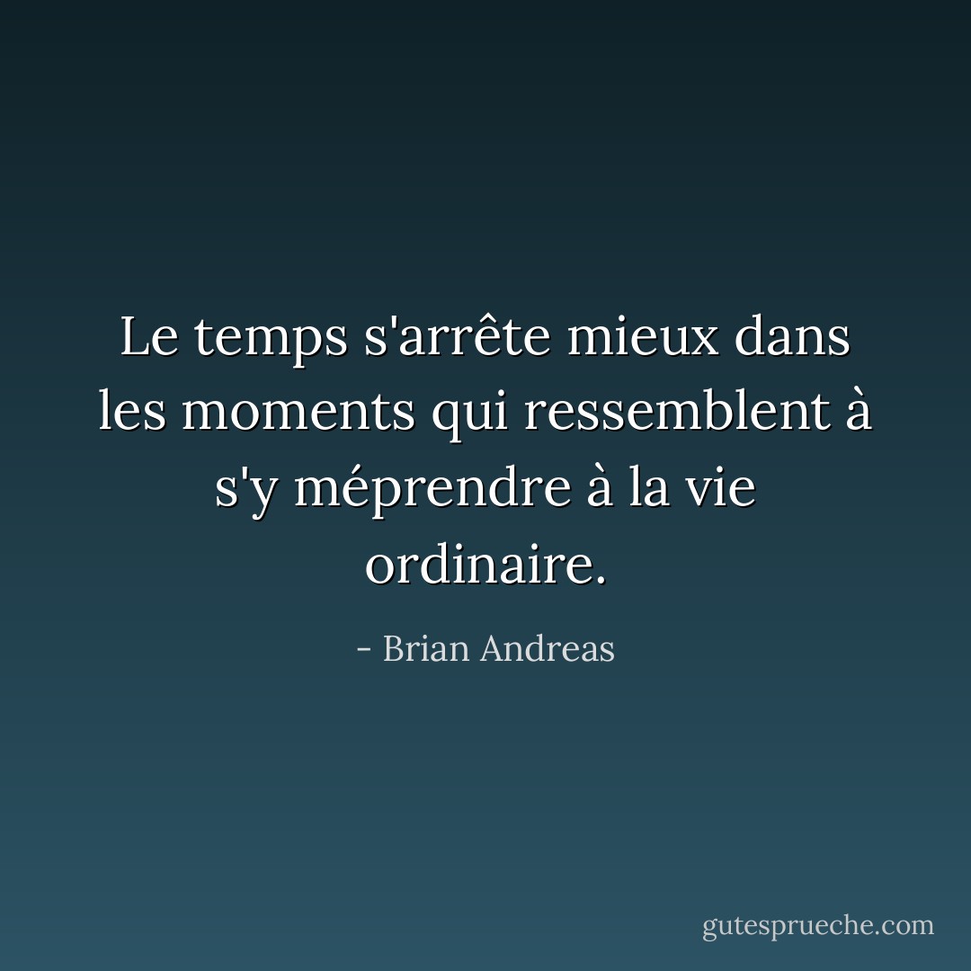 Le temps s'arrête mieux dans les moments qui ressemblent à s'y méprendre à la vie ordinaire. - Brian Andreas