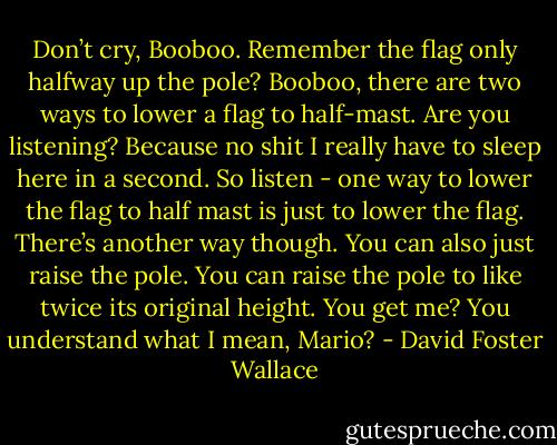 Don’t cry, Booboo. Remember the flag only halfway up the pole?<br />Booboo, there are two ways to lower a flag to half-mast. Are you<br />listening? Because no shit I really have to sleep here in a second. So<br />listen - one way to lower the flag to half mast is just to lower the<br />flag. There’s another way though. You can also just raise the pole.<br />You can raise the pole to like twice its original height. You get me?<br />You understand what I mean, Mario? - David Foster Wallace