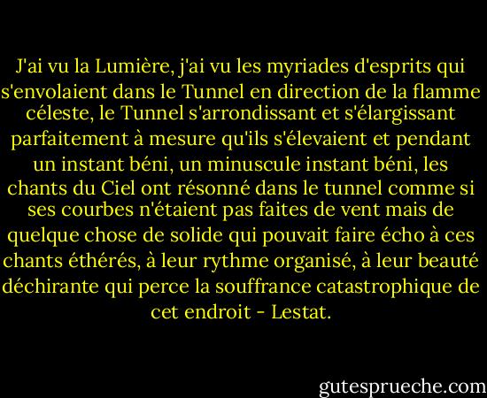 J'ai vu la Lumière, j'ai vu les myriades d'esprits qui s'envolaient dans le Tunnel en direction de la flamme céleste, le Tunnel s'arrondissant et s'élargissant parfaitement à mesure qu'ils s'élevaient et pendant un instant béni, un minuscule instant béni, les chants du Ciel ont résonné dans le tunnel comme si ses courbes n'étaient pas faites de vent mais de quelque chose de solide qui pouvait faire écho à ces chants éthérés, à leur rythme organisé, à leur beauté déchirante qui perce la souffrance catastrophique de cet endroit - Lestat. - Anne Rice