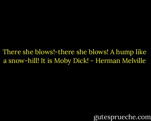 There she blows!-there she blows! A hump like a snow-hill! It is Moby Dick! - Herman Melville