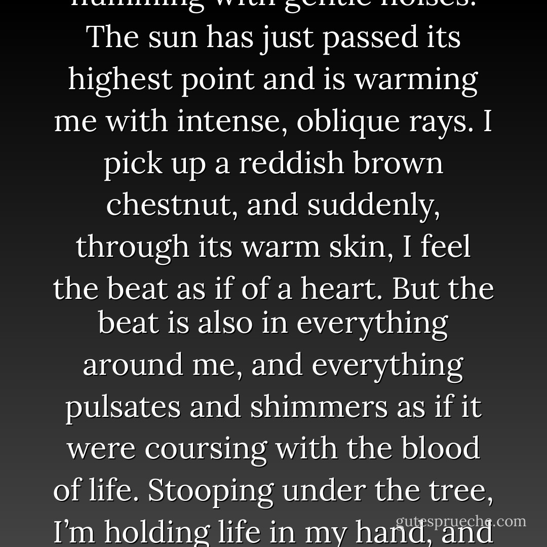 It is a sunny fall afternoon and I’m engaged in one of my favorite pastimes—picking chestnuts. I’m playing alone under the spreading, leafy, protective tree. My mother is sitting on a bench nearby, rocking the buggy in which my sister is asleep. The city, beyond the lacy wall of trees, is humming with gentle noises. The sun has just passed its highest point and is warming me with intense, oblique rays. I pick up a reddish brown chestnut, and suddenly, through its warm skin, I feel the beat as if of a heart. But the beat is also in everything around me, and everything pulsates and shimmers as if it were coursing with the blood of life. Stooping under the tree, I’m holding life in my hand, and I am in the center of a harmonious, vibrating transparency. For that moment, I know everything there is to know. I have stumbled into the very center of plenitude, and I hold myself still with fulfillment, before the knowledge of my knowledge escapes me. - Eva Hoffman
