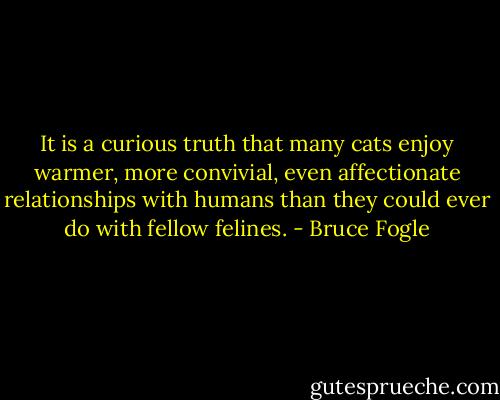 It is a curious truth that many cats enjoy warmer, more convivial, even affectionate relationships with humans than they could ever do with fellow felines. - Bruce Fogle