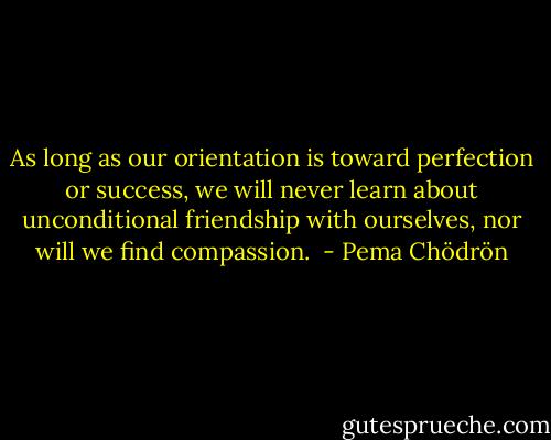 As long as our orientation is toward perfection or success, we will never<br />learn about unconditional friendship with ourselves, nor will we find<br />compassion.  - Pema Chödrön