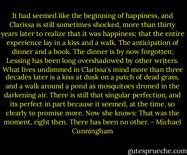 It had seemed like the beginning of happiness, and Clarissa is still sometimes shocked, more than thirty years later to realize that it was happiness; that the entire experience lay in a kiss and a walk. The anticipation of dinner and a book. The dinner is by now forgotten; Lessing has been long overshadowed by other writers. What lives undimmed in Clarissa's mind more than three decades later is a kiss at dusk on a patch of dead grass, and a walk around a pond as mosquitoes droned in the darkening air. There is still that singular perfection, and its perfect in part because it seemed, at the time, so clearly to promise more. Now she knows: That was the moment, right then. There has been no other. - Michael Cunningham