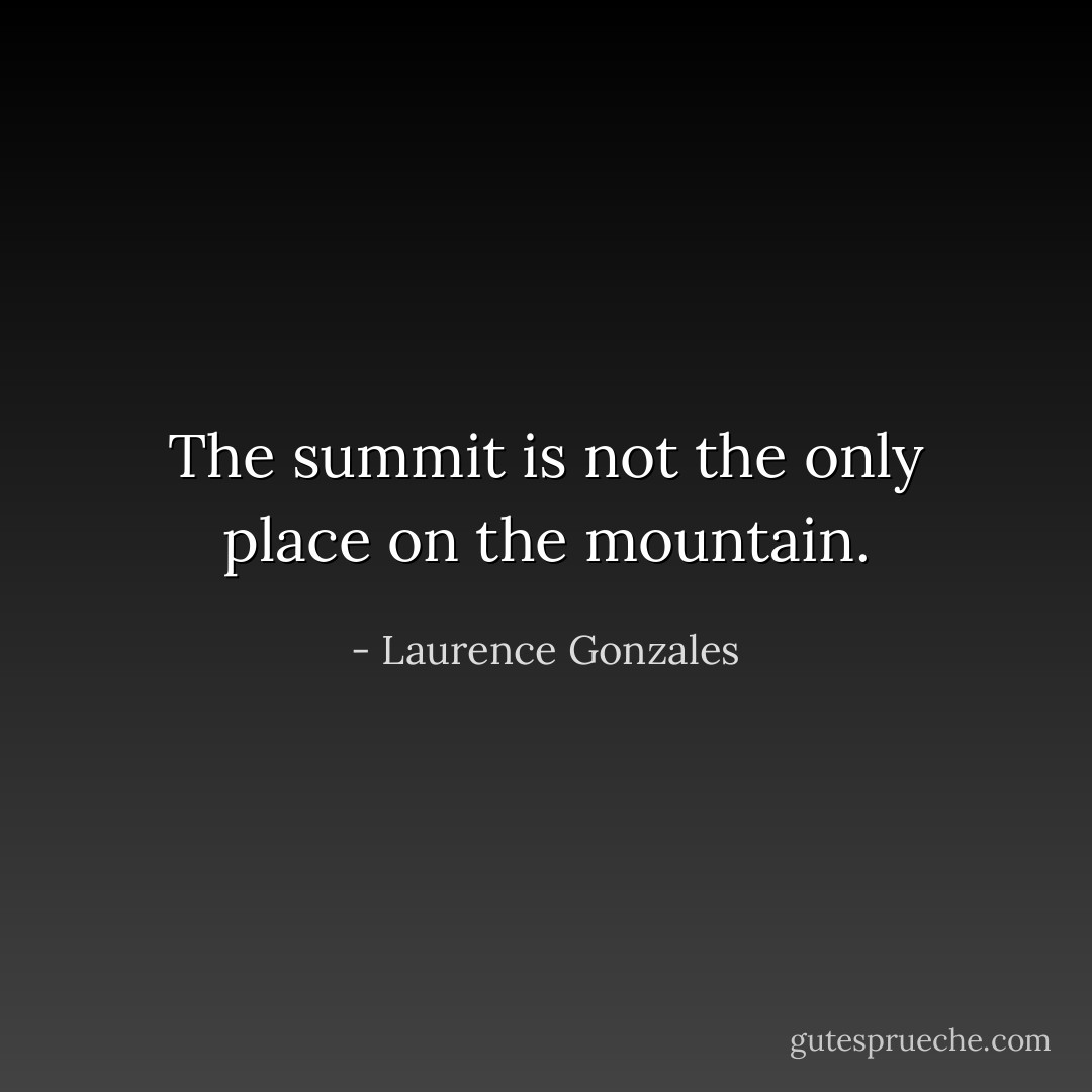 The summit is not the only place on the mountain. - Laurence Gonzales