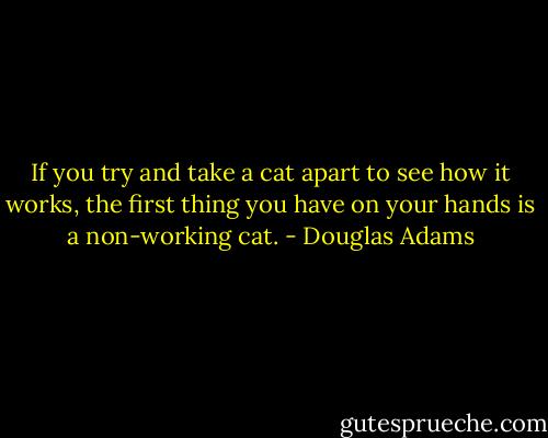 If you try and take a cat apart to see how it works, the first thing you have on your hands is a non-working cat. - Douglas Adams