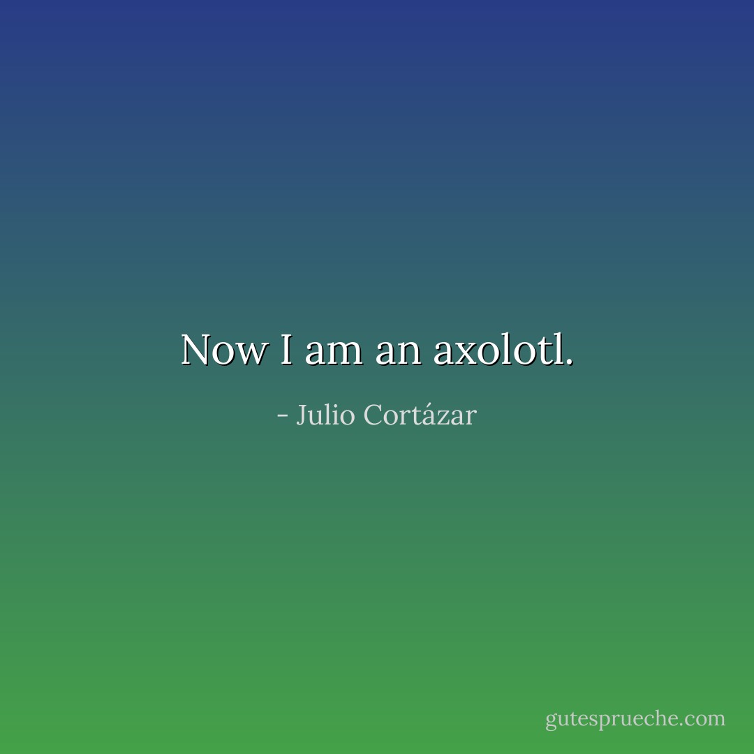 Now I am an axolotl. - Julio Cortázar