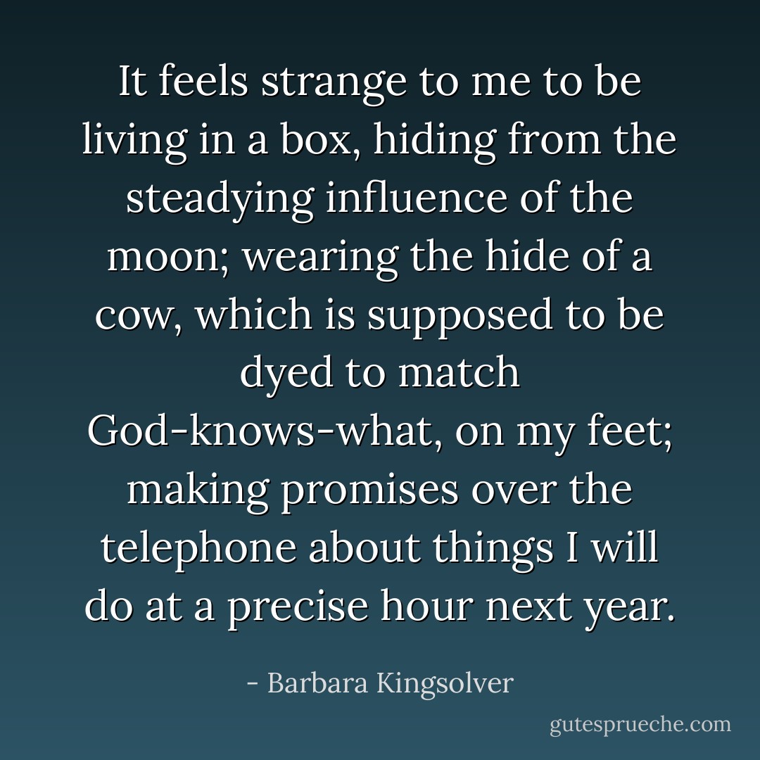It feels strange to me to be living in a box, hiding from the steadying influence of the moon; wearing the hide of a cow, which is supposed to be dyed to match God-knows-what, on my feet; making promises over the telephone about things I will do at a precise hour next year. - Barbara Kingsolver