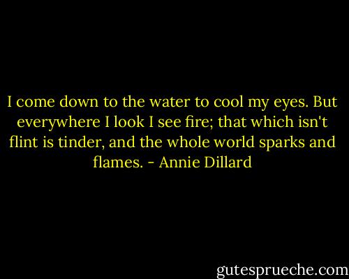 I come down to the water to cool my eyes. But everywhere I look I see fire; that which isn't flint is tinder, and the whole world sparks and flames. - Annie Dillard