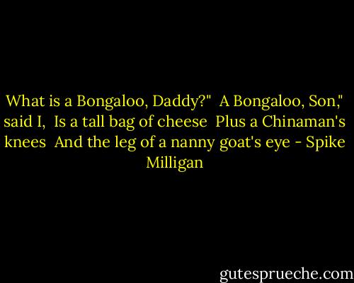 What is a Bongaloo, Daddy?" <br />A Bongaloo, Son," said I, <br />Is a tall bag of cheese <br />Plus a Chinaman's knees <br />And the leg of a nanny goat's eye - Spike Milligan