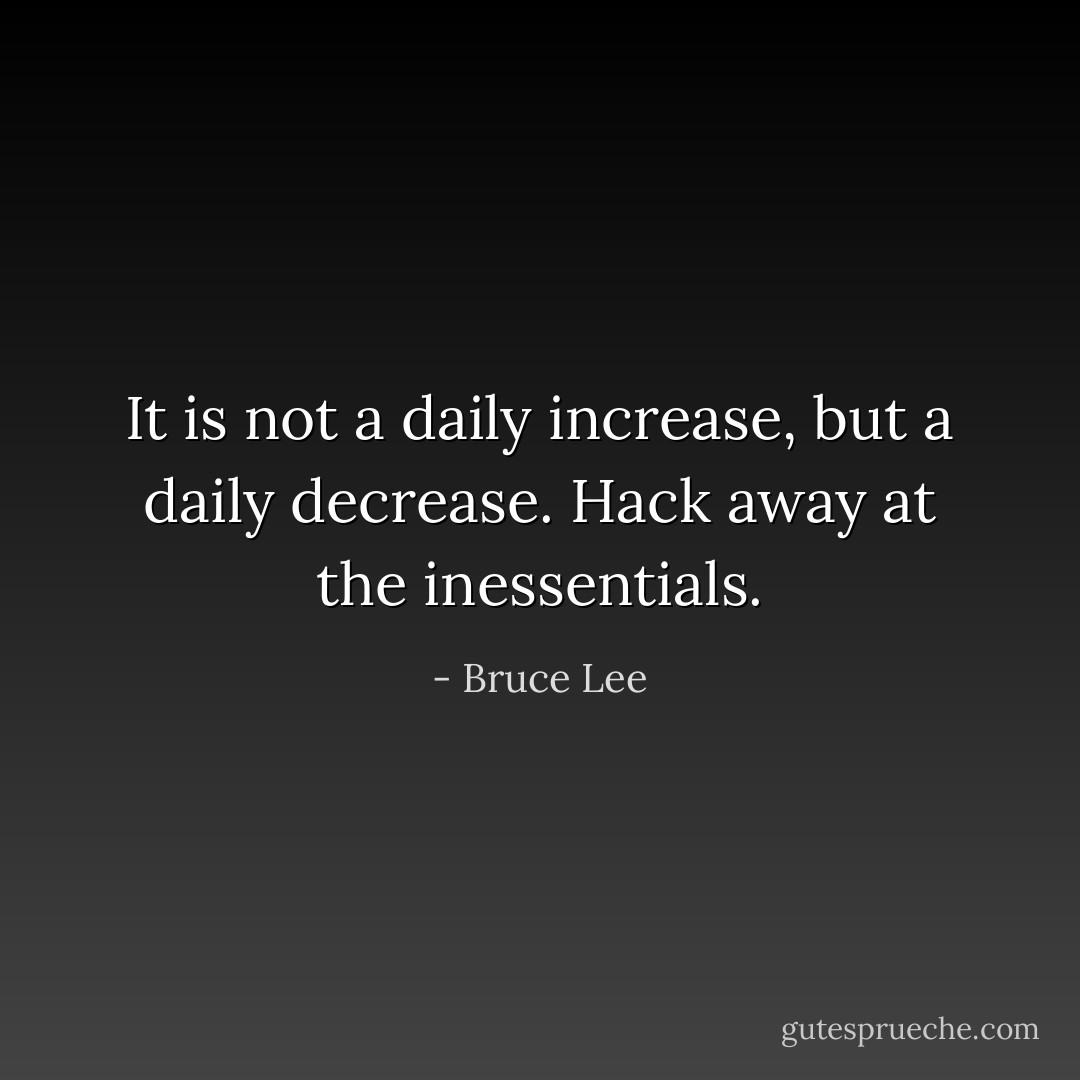 It is not a daily increase, but a daily decrease. Hack away at the inessentials. - Bruce Lee