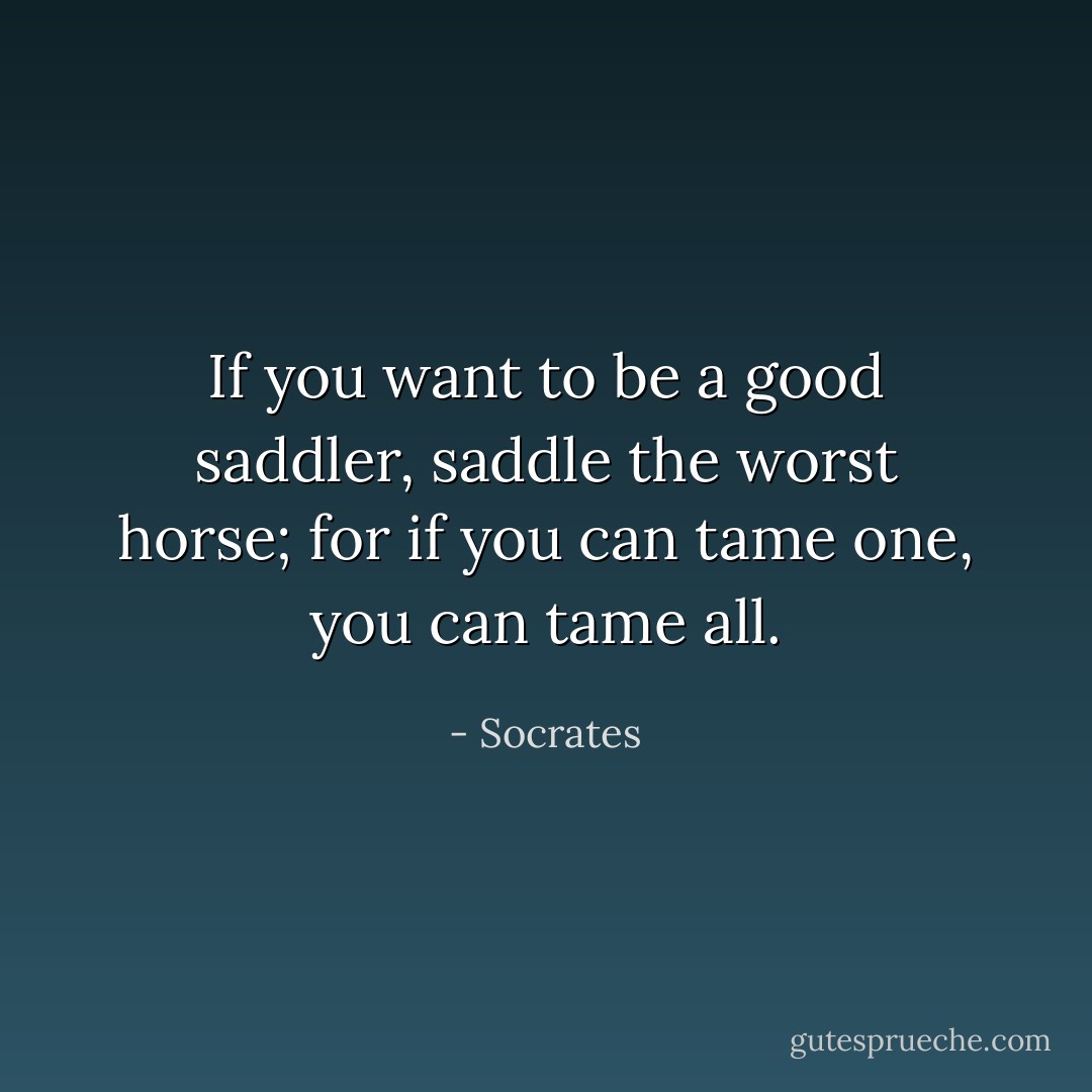 If you want to be a good saddler, saddle the worst horse; for if you can tame one, you can tame all. - Socrates