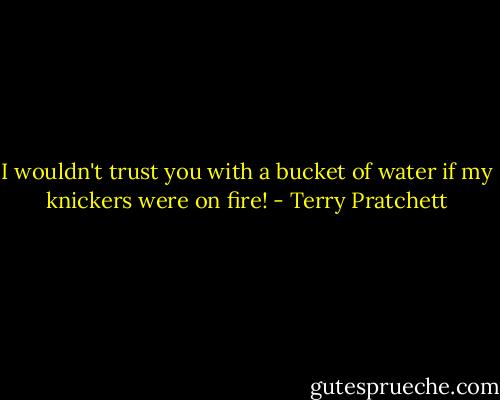 I wouldn't trust you with a bucket of water if my knickers were on fire! - Terry Pratchett